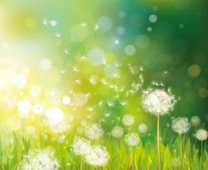 Dandelion flowers vector fantasy material
