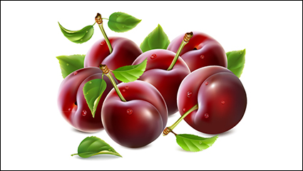 Delicious red cherry design vector material