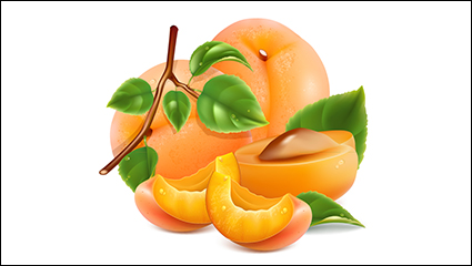 Delicious peach design vector material