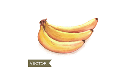 Delicious yellow bananas vector material