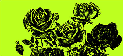 Pen painting style roses vector material