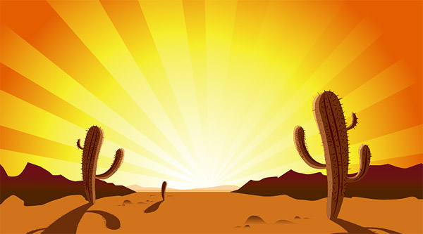 Cactus, sunset, desert, hot 