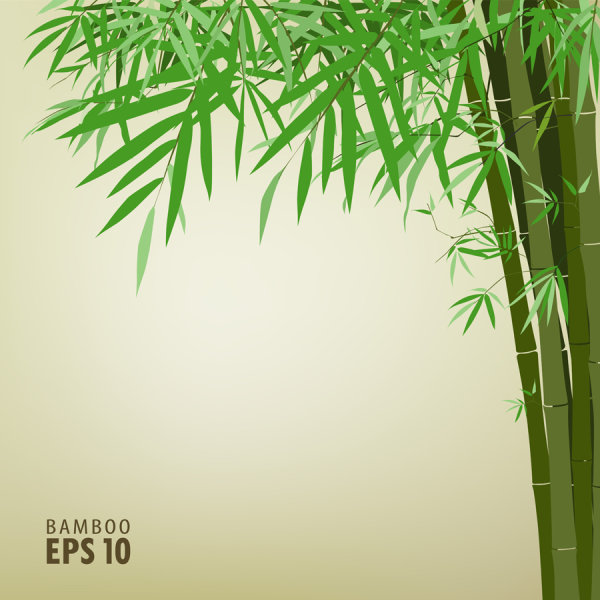 Green bamboo background text template vector material -2