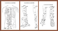 Body points acupuncture meridians to Figure