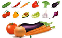 Several common vegetables vector material