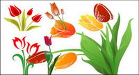 Tulip vector material