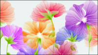 Exquisite flowers 03 - vector material