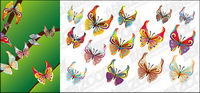 14 Butterfly vector material