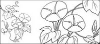 Line drawing of flowers -9