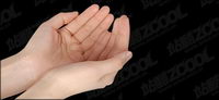 PSD material hands-4
