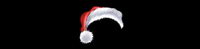 Web site logo for Christmas hat transparent png