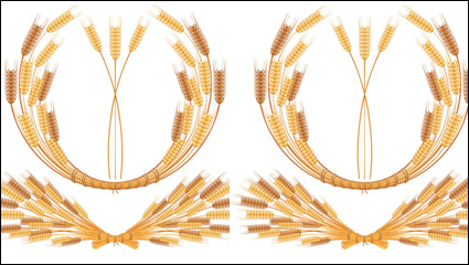 Yellow wheat 05-- vector material