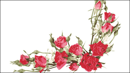 Rose bouquet 04 - vector material