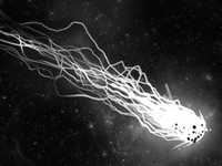 Appreciate black and white design