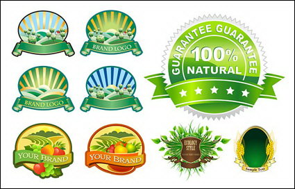 Green leaves, leaves, wheat, wheat, fields, Manor