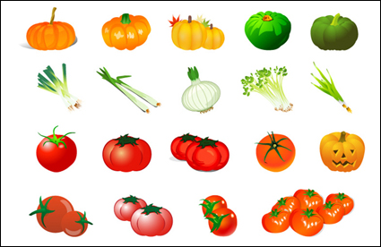 Vegetable Vector - Pumpkin Tomato Garlic Onion