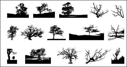 Go Media produced vector material - trees in Pictures