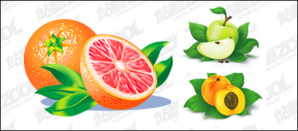 Oranges, apples, Peach vector material