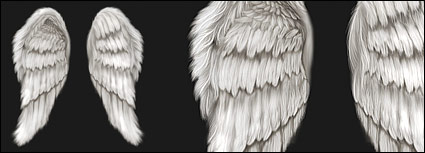 Cool wings psd layered material