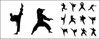 Kung Fu figures material