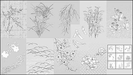 Vector line drawing of flowers -50(dandelion, lily)
